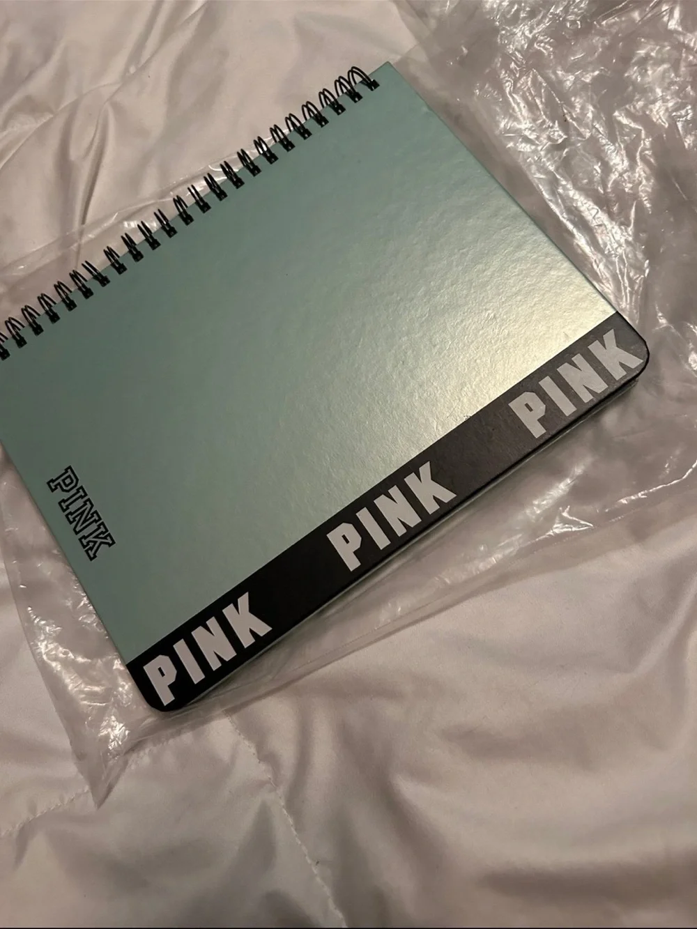 PINK Victoria's Secret Mint Green Notebook